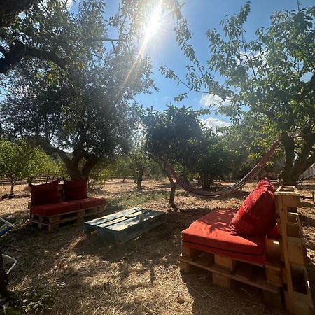B&B Villa Tiziana โมโนโปลี ภายนอก รูปภาพ
